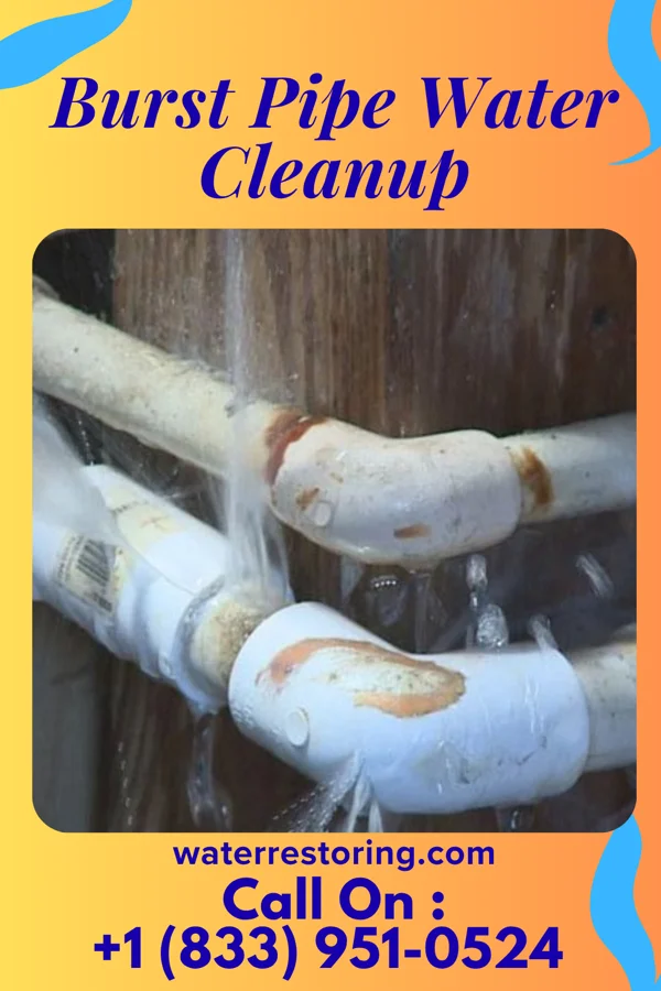 Burst Pipe Water Cleanup in Montrose, PA