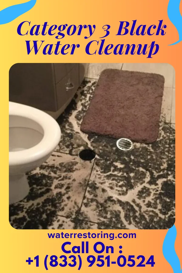 Category 3 Black Water Cleanup in Montrose, PA