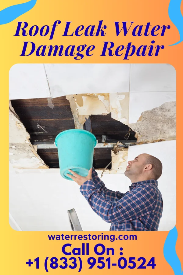 Roof Leak Water Damage Repair in Montrose, PA
