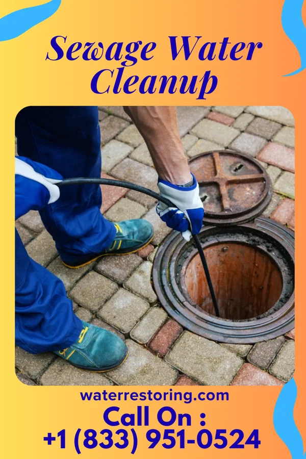 Sewage Water Cleanup in Montrose, PA